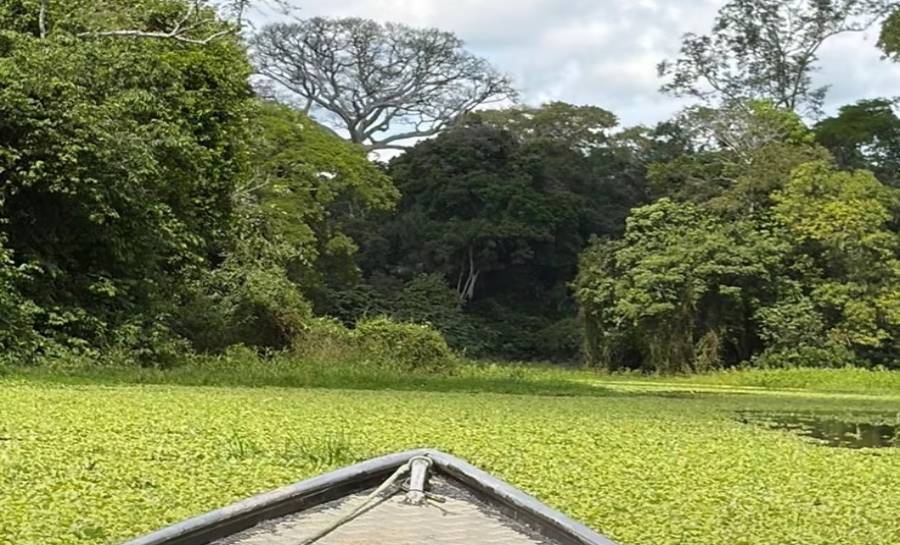 Cruzeiro do Sul lidera ranking de Meio Ambiente no Acre e Prefeitura intensifica ações de preservação